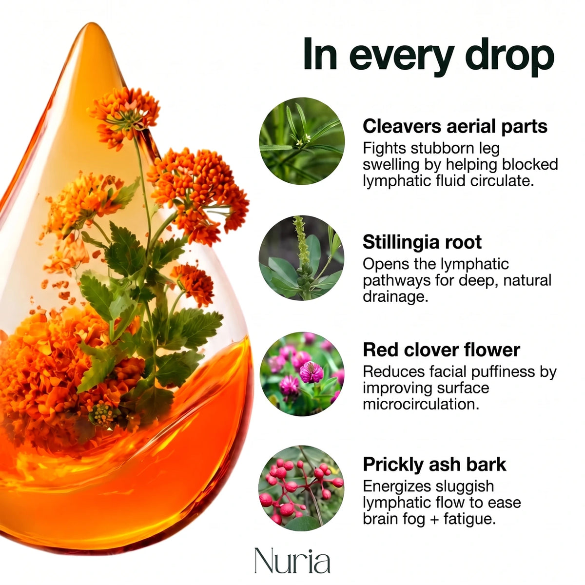 Nuria Lymphatic Drainage – Natural Drops